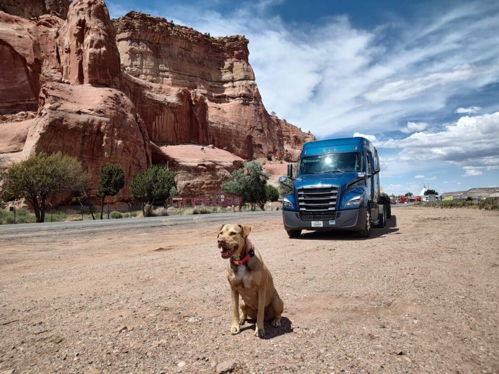 Melton Flatbed Driver's dog in front of Melton truck and mountains