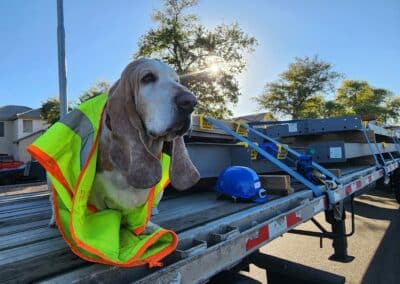 Our rider program for truckers means we get cute photos like this one of a dog, Winston, posing in safety gear