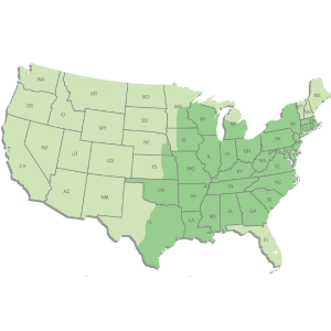 melton hiring map