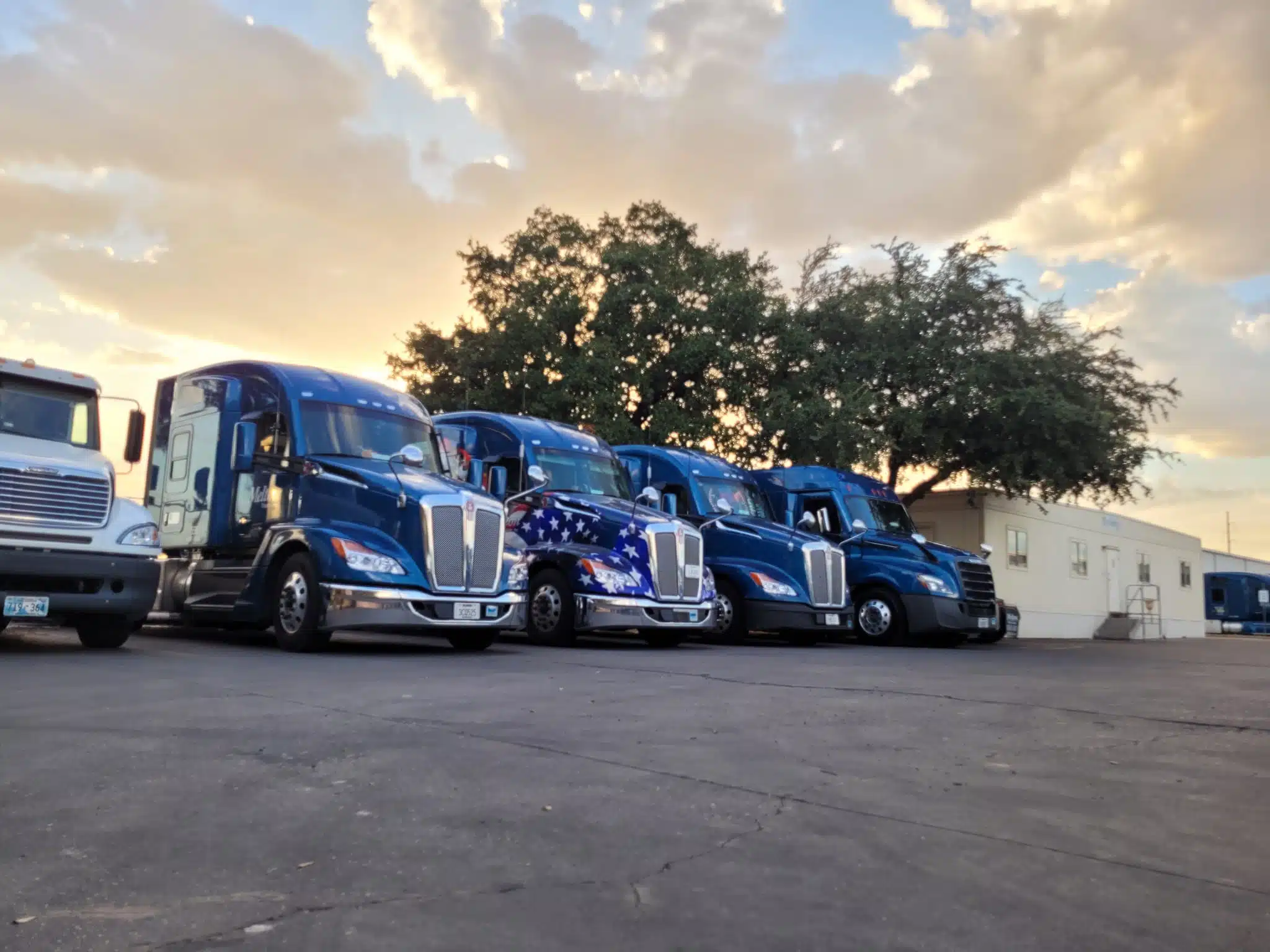 A row of parked Melton trucks in the sunset