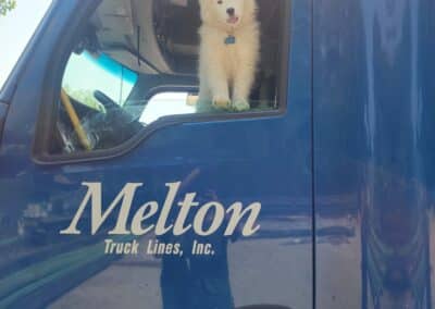 Dog with its head outside of the window of a Melton truck