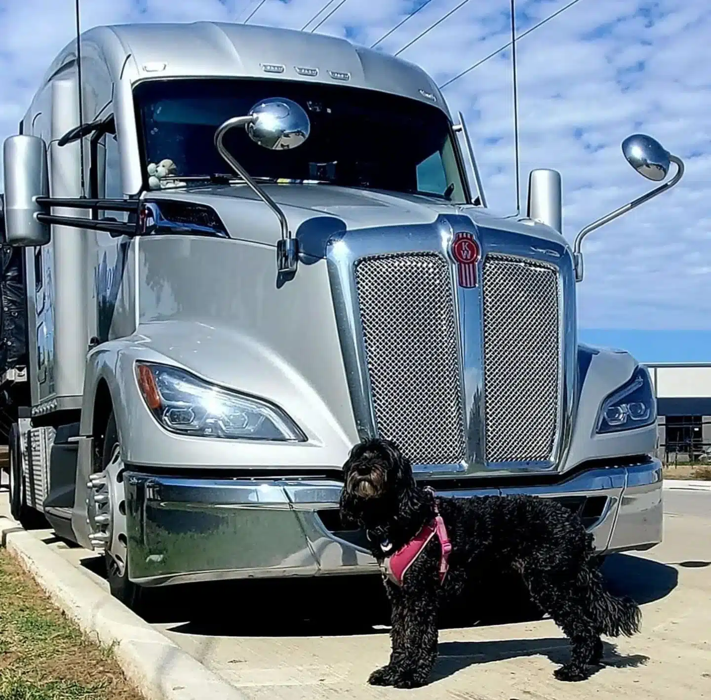 You can drive almost any commercial vehicle, including semi trucks like this, with a Class A CDL.