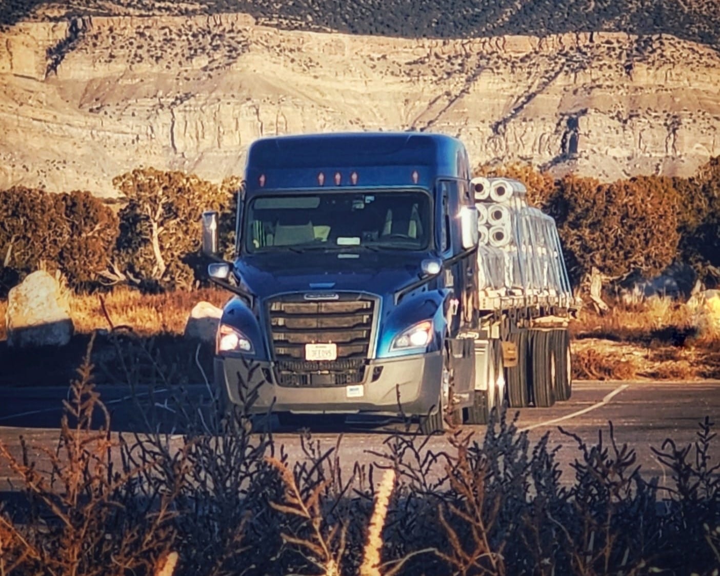 Melton truck parked with mountains behind it