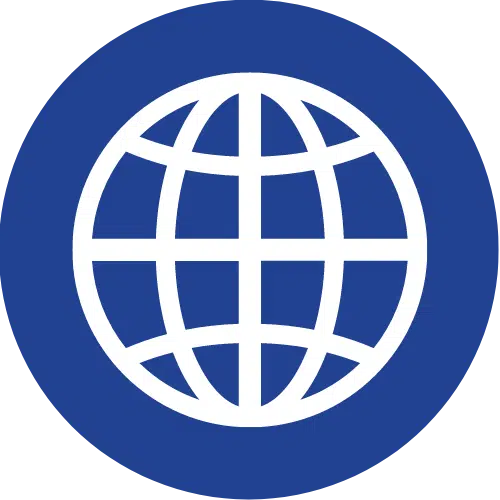 Globe icon