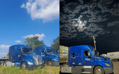 Truck Driving at Night vs the Day: Which is For You?