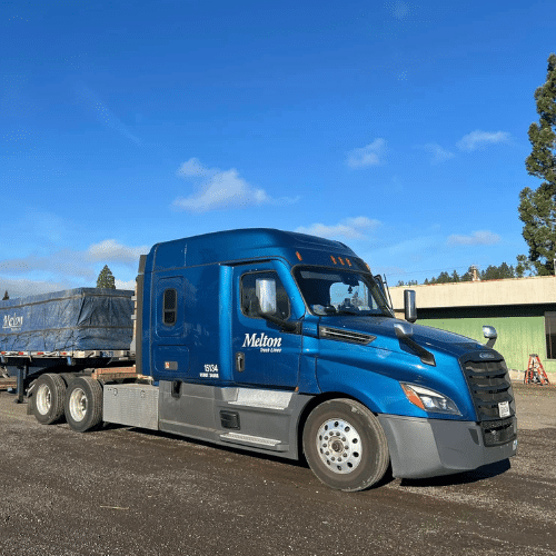 Driver sitting at the wheel